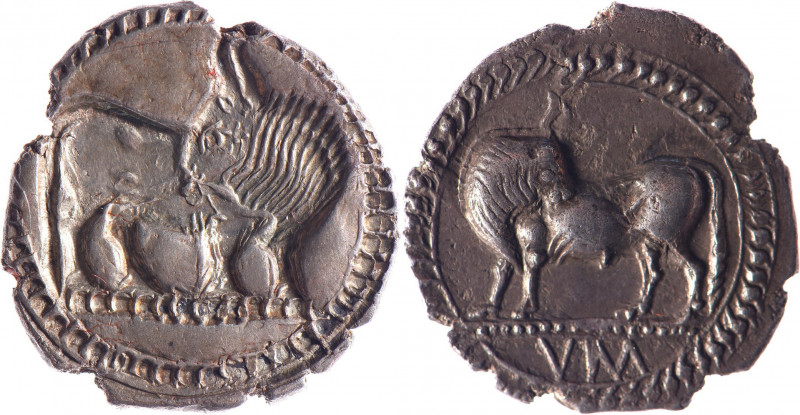 LUCANIE, Sybaris (550-470). Drachme (2.67 g) incuse au taureau retournant la têt...
