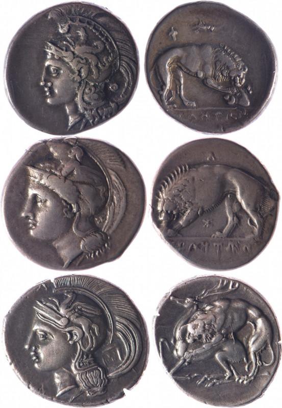 LUCANIE, Vélia (vers 350 av.). Statère (7.50 g) à la tête d’Athéna coiffée d’un ...