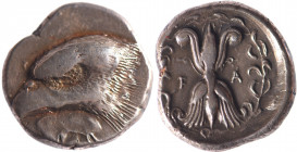 ELIDE, Elis (vers 450 av.). Statère olympien (12.82 g) de la 93ème Olympiade (408 av.) à la tête d’aigle à gauche au-dessus d’une feuille de peuplier....