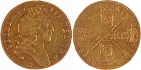 ANGLETERRE, Guillaume III (1694-1702). Demi-guinée, 1695. Friedberg 315. TTB, traces de monture ? 500