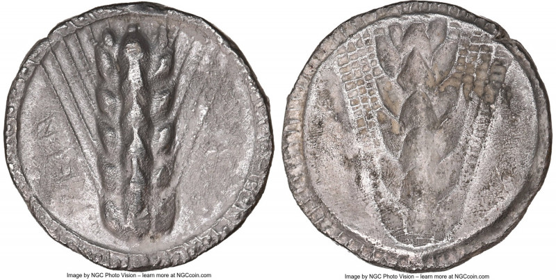 LUCANIA. Metapontum. Ca. 510-470 BC. AR stater (22mm, 7.29 gm, 12h). NGC XF 5/5 ...