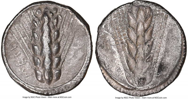 LUCANIA. Metapontum. Ca. 510-470 BC. AR stater (22mm, 7.47 gm, 12h). NGC Choice ...