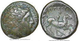 MACEDONIAN KINGDOM. Philip II (359-336 BC). AE unit (17mm, 5h). NGC Choice VF. Uncertain mint in Macedonia. Head of Apollo right, wearing taenia / ΦIΛ...