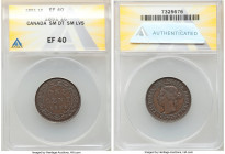4-Piece Lot of Certified Assorted Issues ANACS, 1) "Small Date Small Leaves" Cent 1891 - XF40, KM7 2) "Small Date Large Leaves" Cent 1891 - VF35, KM7 ...