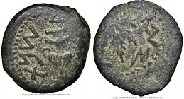 ANCIENT LOTS. Judaea. Ca. 1st century AD. Lot of five (5) AE prutahs. Three (3) NGC Fine-VF, and two (2) uncertified Fine. Includes: Five AE prutahs, ...