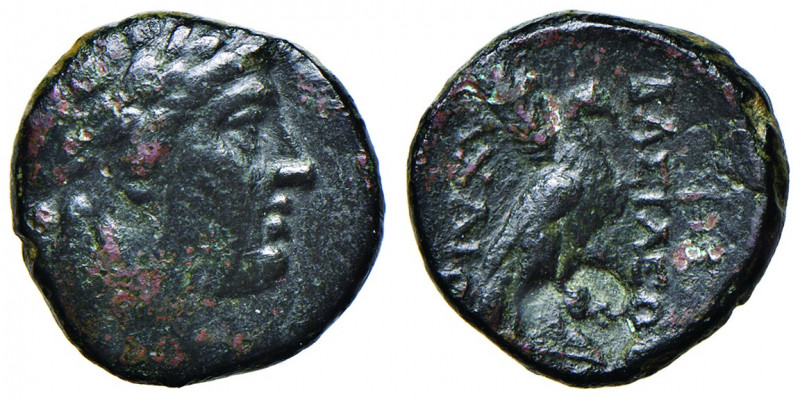 Achaios (220-214)
Griechische Münzen, Seleukiden. Bronze. Kopf des Apollon / Adl...