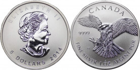 Canada - Elisabetta II (dal 1952) - 5 Dollari (1 Oncia) 2014 "Uccelli rapaci - Falco pellegrino"- Ag - KM# 172
FS



WORLDWIDE SHIPPING - SPEDIZI...