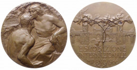 Italia, medaglia per l'Esposizione Internazionale di Milano, opus Giannino-Johnson, 1906, Ae. - gr. 118.56 - Ø mm61
FDC



SHIPPING ONLY IN ITALY...