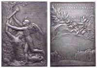 Francia, Esposizione Universale di Parigi, placca premio con raffigurazione allegorica del secolo XIX (1801-1900), 1900; Ag ? - gr. 36.85 - Ø mm36x51...