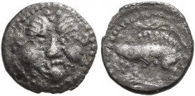 NORTHWEST GAUL. Andecavi. Circa 100-50 BC. Obol (Silver, 9 mm, 0.50 g, 9 h). Celticized facing head. Rev. Boar standing left. DT Suppl. 3453 D. LT -. ...