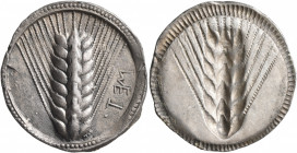 LUCANIA. Metapontion. Circa 540-510 BC. Stater (Silver, 30 mm, 8.05 g, 12 h). ΜΕΤ Ear of barley with eight grains; border of dots within two concentri...