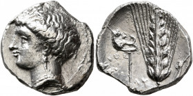 LUCANIA. Metapontion. Circa 340-330 BC. Nomos (Silver, 21 mm, 7.00 g, 4 h). Head of Demeter to left, wearing wreath of grain ears, pendant earring and...