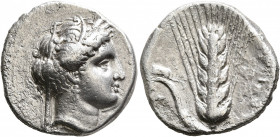 LUCANIA. Metapontion. Circa 340-330 BC. Nomos (Silver, 20 mm, 7.45 g, 10 h). Head of Demeter to right, wearing wreath of grain ears, pendant earring a...