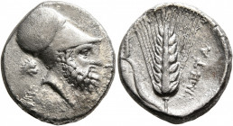LUCANIA. Metapontion. Circa 340-330 BC. Nomos (Silver, 21 mm, 7.64 g, 7 h). Bearded head of Leukippos to right, wearing Corinthian helmet; behind, hea...