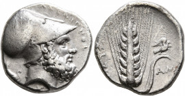 LUCANIA. Metapontion. Circa 340-330 BC. Nomos (Silver, 20 mm, 7.76 g, 4 h). ΛEYKIΠΠOΣ Bearded head of Leukippos to right, wearing Corinthian helmet; b...