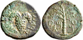 JUDAEA, Bar Kochba Revolt. 132-135 CE. AE (Bronze, 19 mm, 4.67 g, 12 h), undated (year 3 = 134/5). 'For the Freedom of Jerusalem' (in Hebrew) Grape bu...