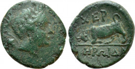 TAURIC CHERSONESOS. Chersonesos. Ae (Circa 190-180 BC). Heroida-, magistrate