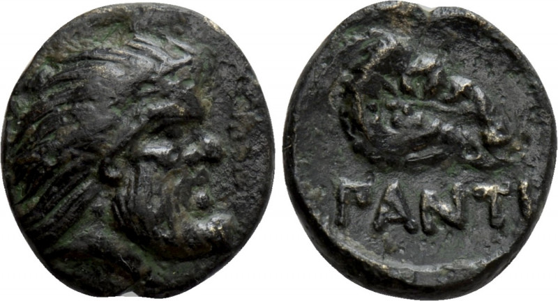 CIMMERIAN BOSPOROS. Pantikapaion. Ae (Circa 340-325 BC). 

Obv: Bearded head o...