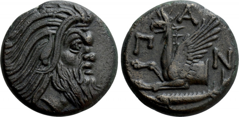 CIMMERIAN BOSPOROS. Pantikapaion. Ae (Circa 310-304/3 BC). 

Obv: Bearded head...