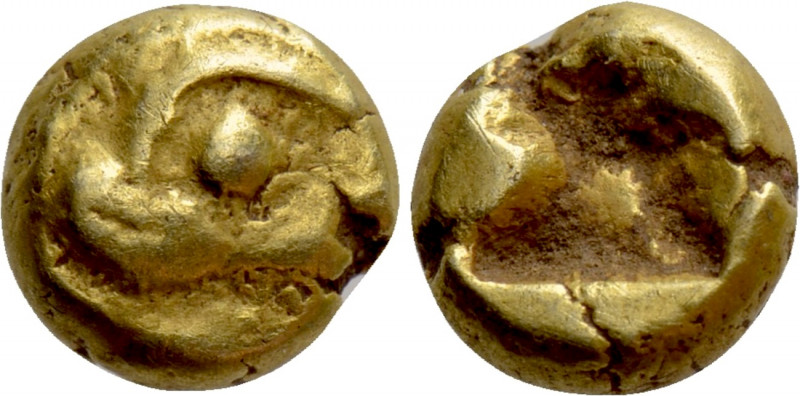 IONIA. Phokaia. EL 1/24 Stater (Circa 625/0-522 BC). 

Obv: Head of seal left....