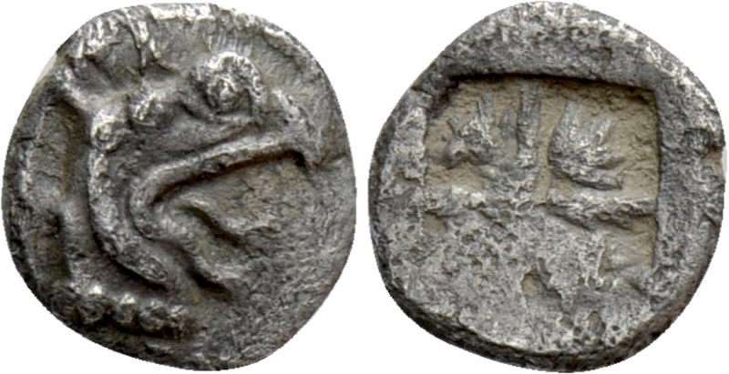 IONIA. Phokaia. Tetartemorion (Circa 530-510 BC). 

Obv: Head of griffin right...