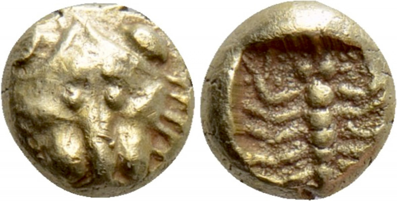 CARIA. Mylasa. EL 1/48 Stater (Mid 6th century BC). 

Obv: Facing head of lion...