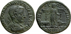 MOESIA SUPERIOR. Viminacium. Gordian III (238-244). Ae. Dated CY 4 (242/3)