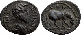 TROAS. Alexandria. Commodus (177-192). Ae