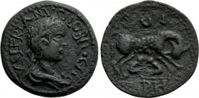 MYSIA. Parium. Valerian II (Caesar, 256-258). Ae