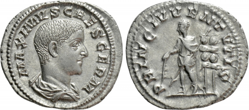 MAXIMUS (Caesar, 235/6-238). Denarius. Rome. 

Obv: MAXIMVS CAES GERM. 
Bareh...