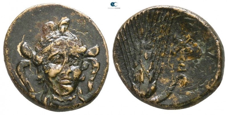 Lucania. Metapontion circa 300-250 BC. 
Bronze Æ

14mm., 3,19g.

Head of At...