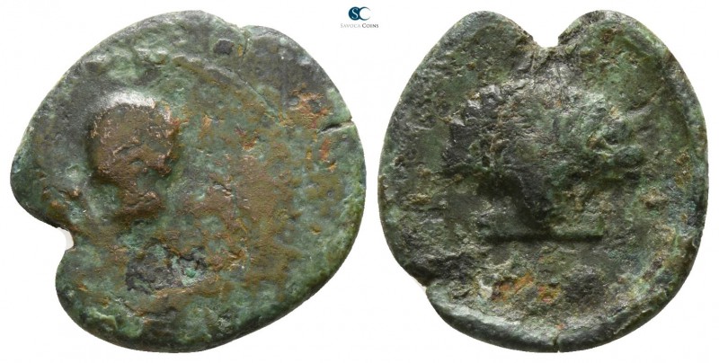 Bruttium. Kroton circa 300-250 BC. 
Bronze Æ

13mm., 1,68g.

K-P, cuttle fi...