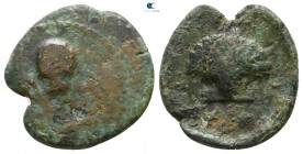 Bruttium. Kroton circa 300-250 BC. Bronze Æ