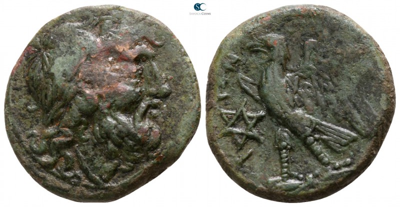 Bruttium. The Brettii circa 213-209 BC. 
Reduced Uncia Æ

20mm., 7,30g.

La...