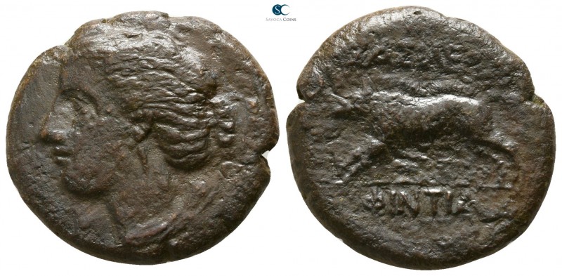 Sicily. Akragas. Phintias. Tyrant 287-279 BC. 
Bronze Æ

18mm., 5,94g.

Hea...