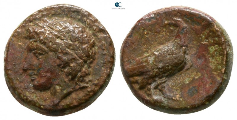 Sicily. Akragas. Phintias. Tyrant 287-279 BC. 
Onkia Æ

12mm., 2,94g.

Laur...