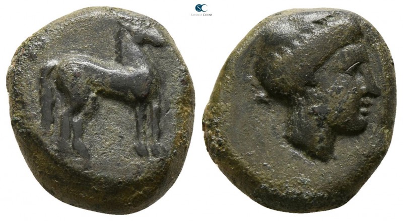 Sicily. Eryx circa 400-340 BC. 
Bronze Æ

13mm., 4,53g.

Horse standing rig...