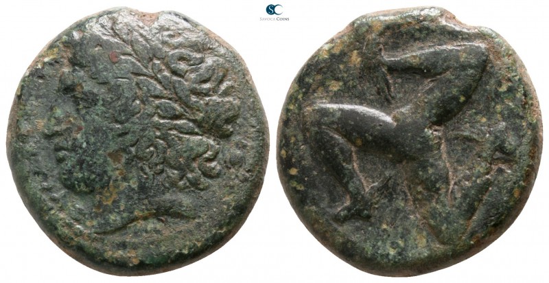 Sicily. Syracuse. Agathokles 317-289 BC. 
Bronze Æ

18mm., 7,89g.

ΣΥΡAKOΣI...