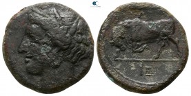 Sicily. Syracuse. Hieron II 275-215 BC. Hemilitron Æ
