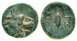 THRACE.Lysimacheia.(Circa 309-220 BC). Ae.

Obv : Head of lion right.

Rev : ΛΥ - ΣΙ.
Grain ear; uncertain control to lower right.
SNG Copenhagen 918-...