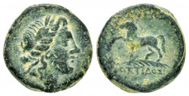 KINGS of THRACE.Mostis.(Circa 139-101 BC).Ae.

Obv : Laureate head of Apollo right.

Rev : ΒΑΣΙΛΕΩΣ ΜΟΣΤΙΔΟΣ.
Horse prancing left on palm frond right....