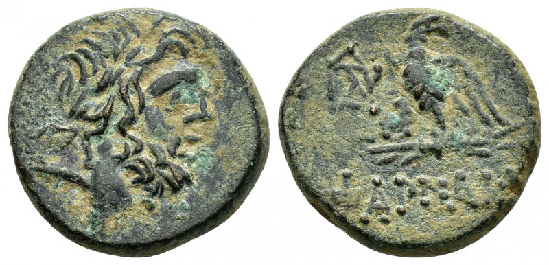 PONTUS.Pharnakeia.Time of Mithradates VI Eupator.(Circa 85-65 BC).Ae.

Obv : Lau...