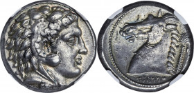 SICULO-PUNIC. Sicily. Ca. 320-300 BC. AR tetradrachm (24mm, 16.77 gm, 12h). NGC Choice XF 4/5 - 5/5. Head of young Heracles right, wearing lion skin h...