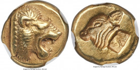 LESBOS. Mytilene. Ca. 521-478 BC. EL sixth-stater or hecte (10mm, 2.54 gm, 9h). NGC Choice XF S 5/5 - 4/5. Head of roaring lion right, wearing beaded ...