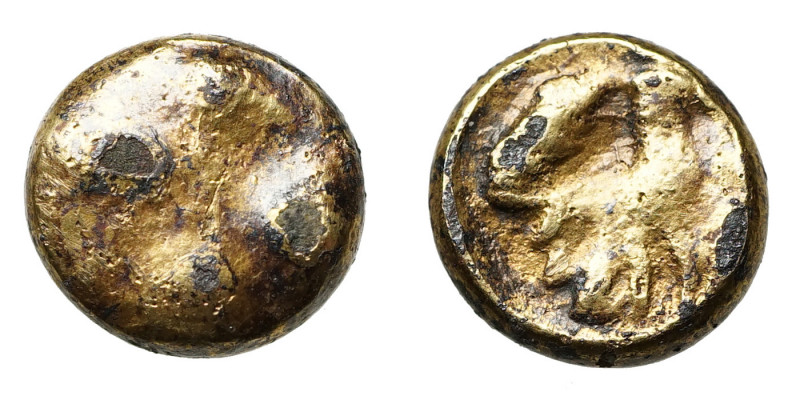 Central Europe, Boii.
Fourrèe 1/3 Stater
1,27 g / 9,5 mm
~ 2nd/1st century BC...
