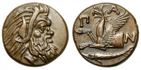 Cimmerian Bosporos, Pantikapaion.
AE
6,99 g / 19 mm
~ 310-304/3 BCE
Bearded head of satyr right / Forepart of griffin left; below, sturgeon left....