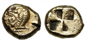 Ionia, Erythrai.
EL Hekte Fouree?
1,95 g / 10 mm
~ 550-500 BCE
Head of Herakles left, wearing lion skin / Quadripartite incuse square.
SNG Kayhan...