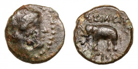 Seleukid Empire, Antiochos III. (223-187 BCE) 
AE 
1,49 g / 11 mm
Sardes
Laureate head of Apollo right / Elephant advancing left; upturned anchor ...
