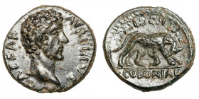 Marcus Aurelius (Caesar, 139-161)
AE
4,82 g / 18 mm
PISIDIA. Antiochia, ~ 147-161
Bare head of Marcus Aurelius to right. / She-wolf standing right...