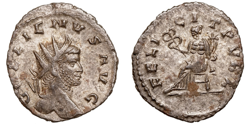 Gallienus (253-268)
AE Antoninianus
2,53 g / 21 mm
Rome, 263
Radiate head ri...